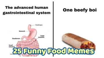 25 Funny Food Memes For Anyone Who Loves Food And Dreaming About Food