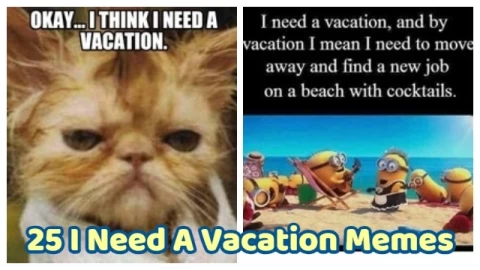 25 I Need A Vacation Memes That Are Way Too Accurate