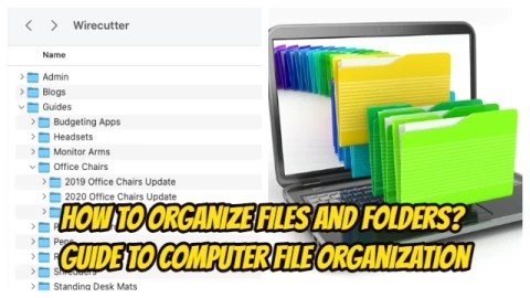 How To Organize Files And Folders? Guide To Computer File Organization