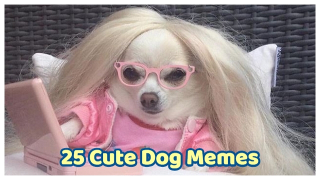 25 Cute Dog Memes Ever That Will Let You Smile From Ear To Ear