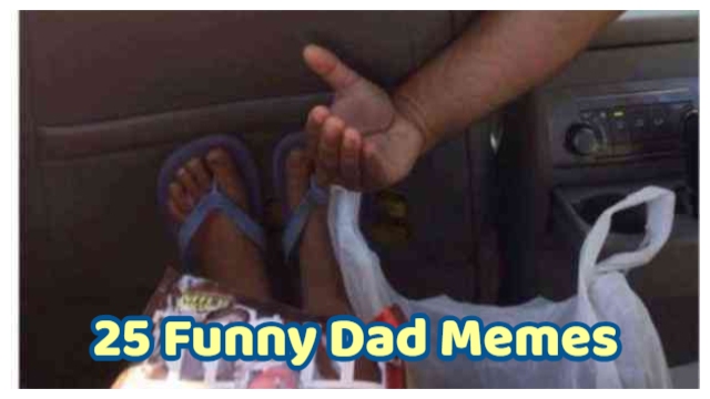 25 Funny Dad Memes That Every Dad Will Find Hysterical