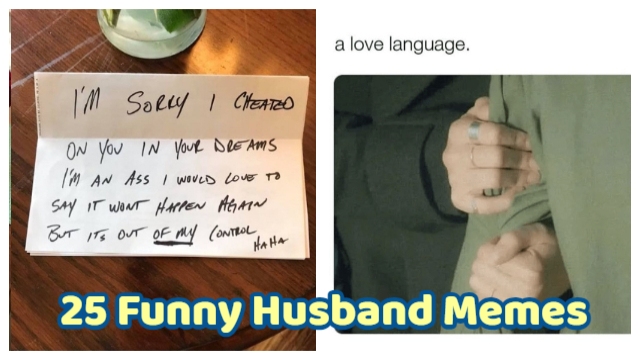 25 Funny Husband Memes That Make Every Wife Laugh For Hours