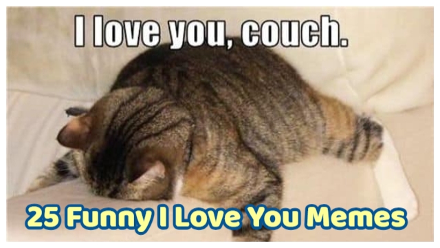 25 Funny I Love You Memes To Send To Your Special Lover