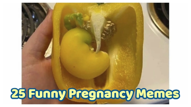 25 Funny Pregnancy Memes That Will Make You Can Not Laughing Through Every Trimester