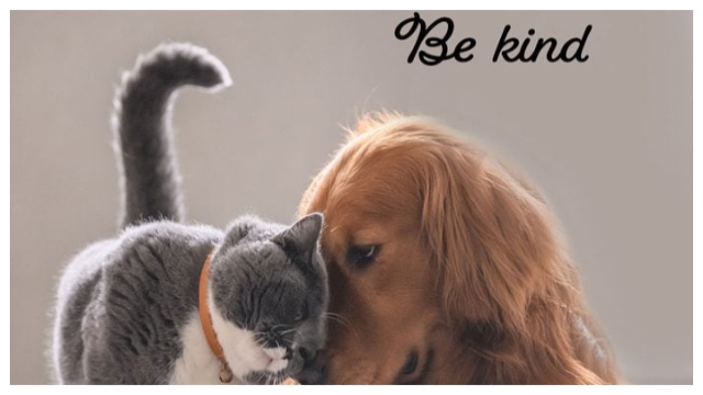 Top 20 Kindness Memes to Boost Your Mood Instantly