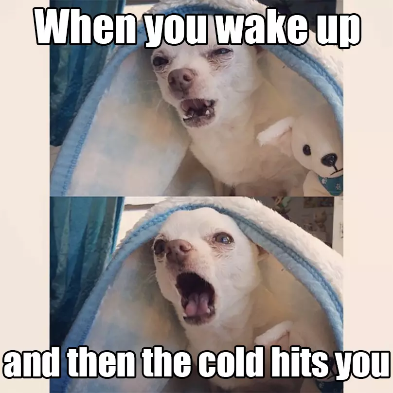 50+ Funny Winter Memes - Laugh Through The Cold Season 2024