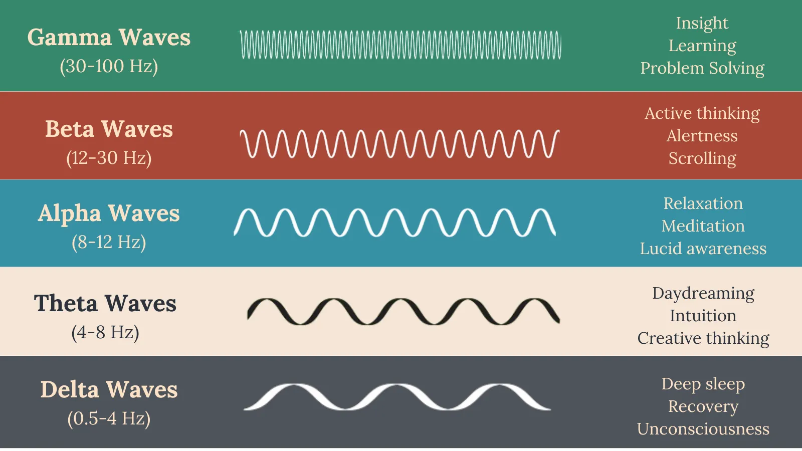 Science Behind Meditation