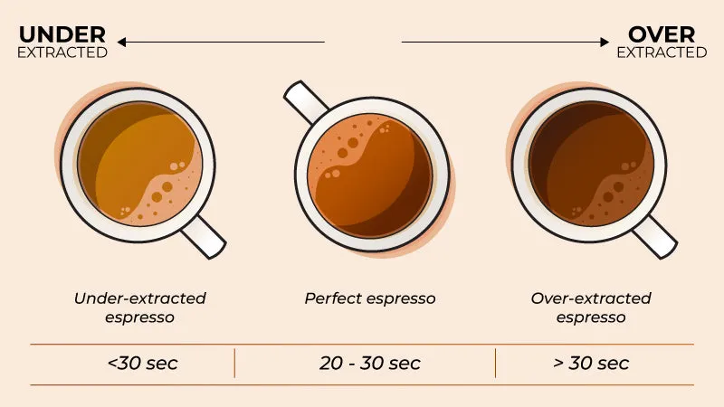 Fun facts about coffee