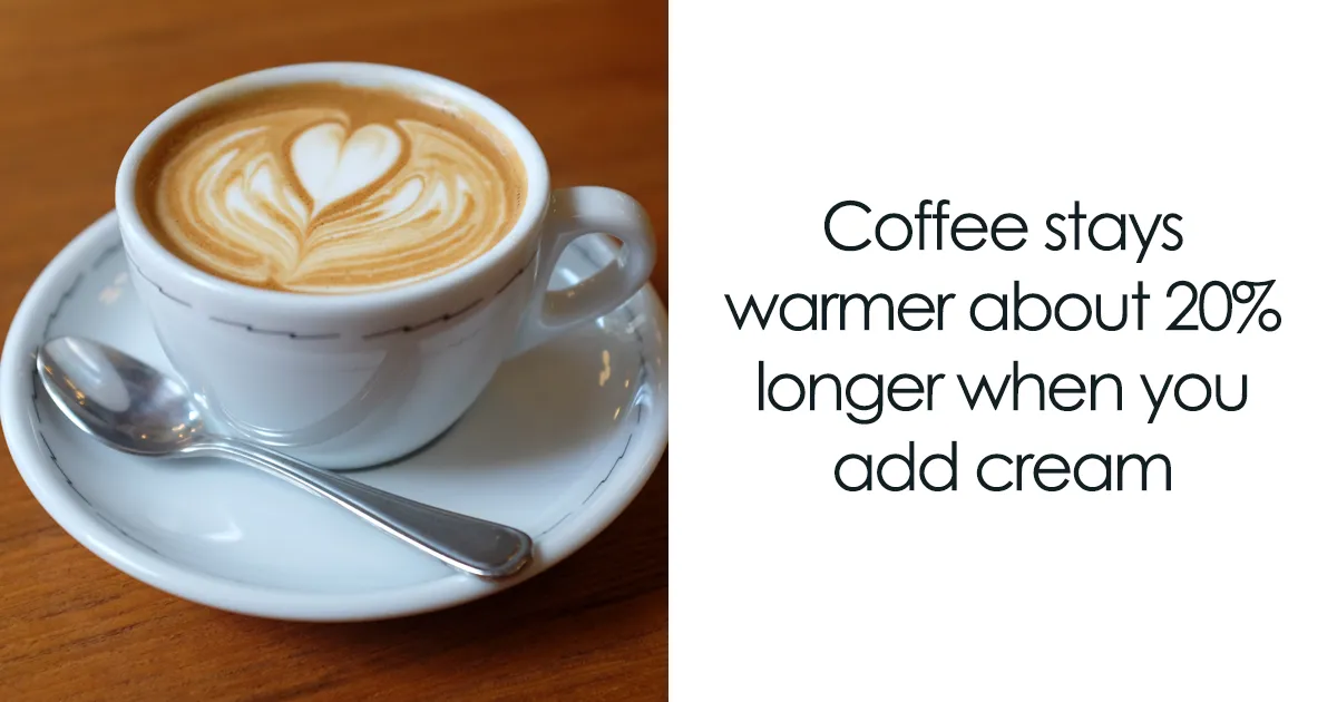 Fun facts about coffee