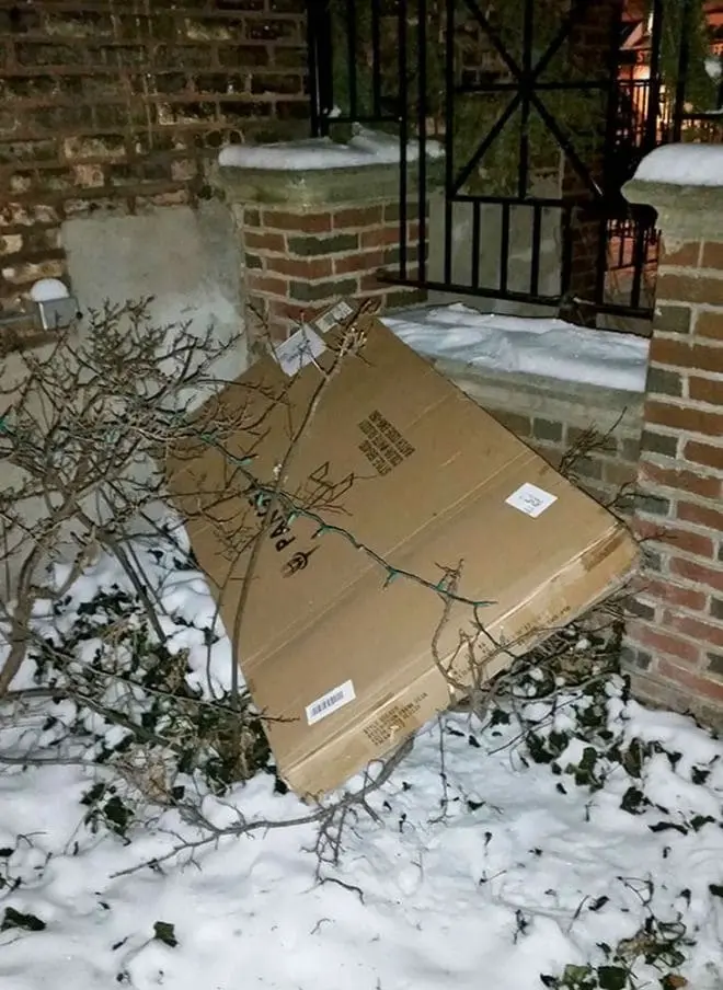 10+ Delivery Fails That Put You In The Dilemma