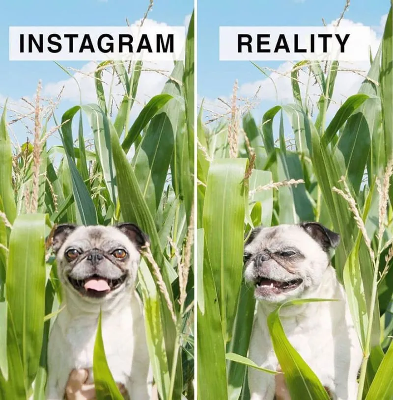 15 Best Examples Of The Difference Between Reality And Instagram