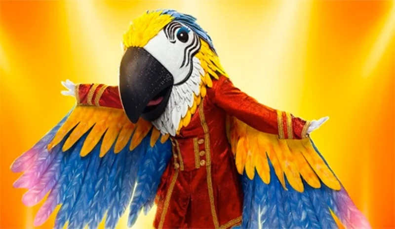 Who is Macaw?