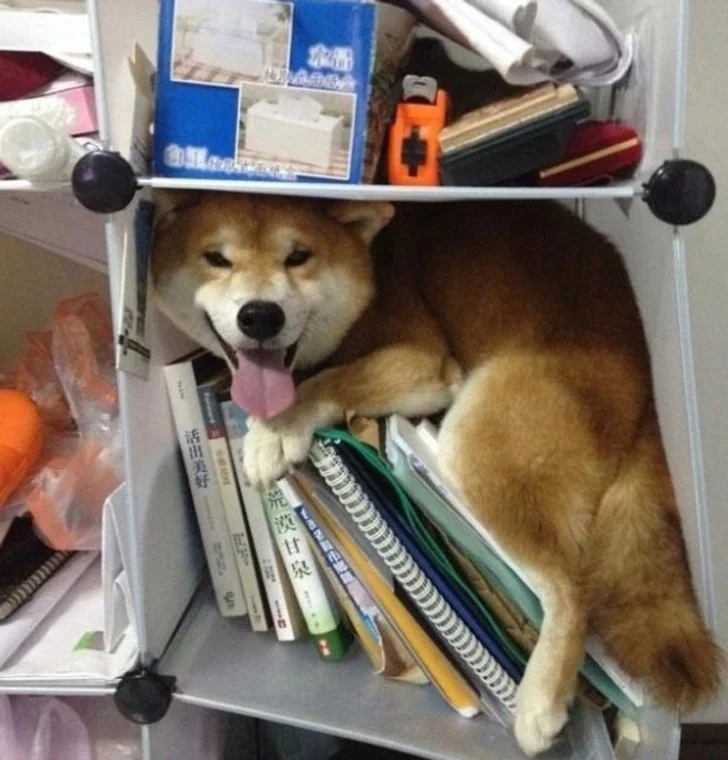 Perfect Hiding Place