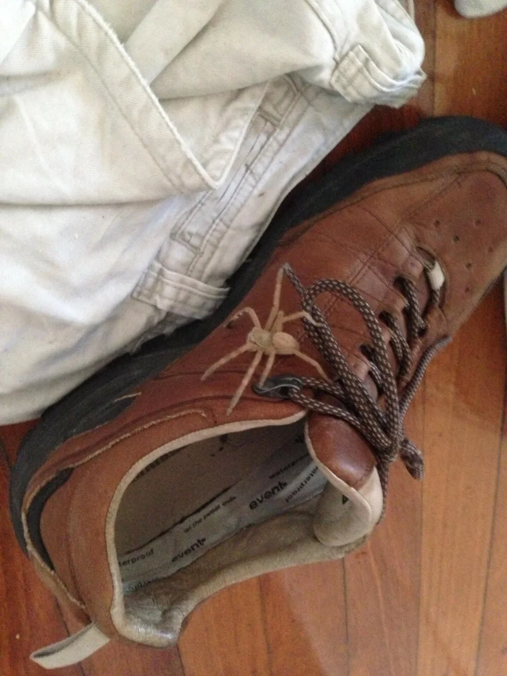 Worst Shoe Fails