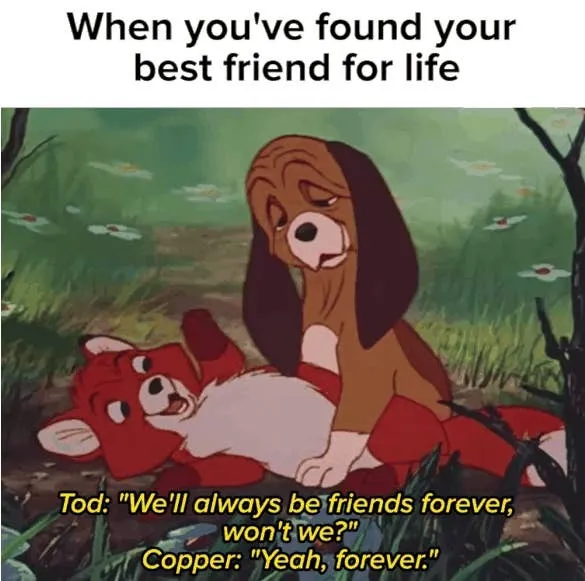 Best Friend Memes