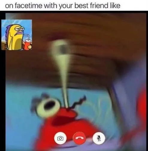 Best Friend Memes