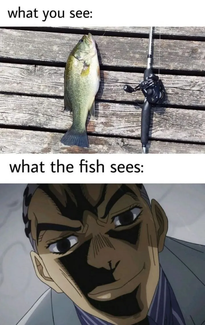 funny fishing memes