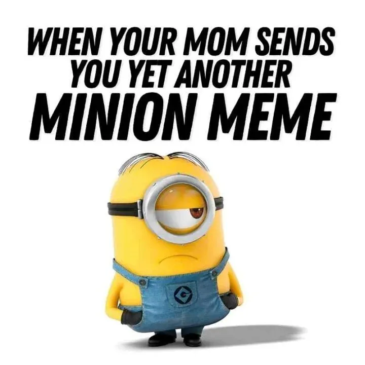 Funny Minions Memes