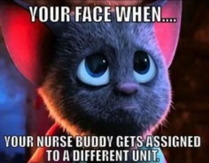 funny nurse memes