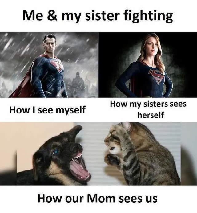 Funny Sister Memes
