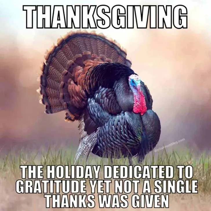 turkey meme