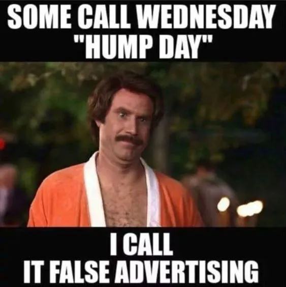25 Funny Wednesday Memes That Get You Over Hump Day