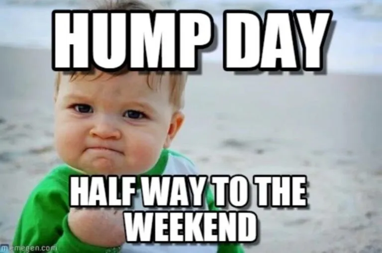 happy hump day funny meme