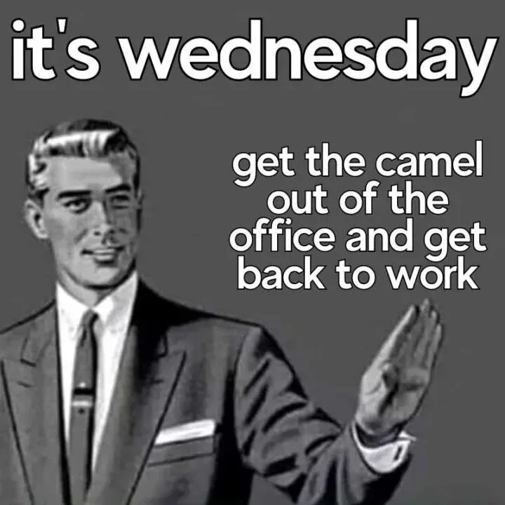 funny Wednesday Memes