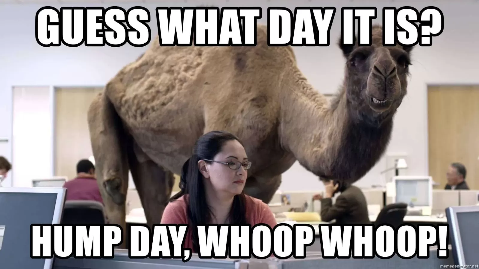 Funniest Hump Day Memes To Help You Survive Through Wednesdays