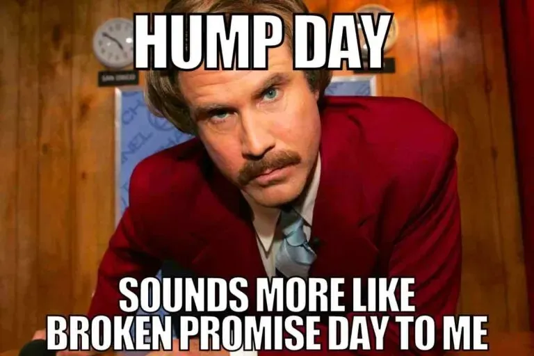 Hump Day Memes