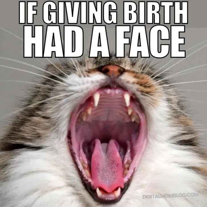 25 Funny Pregnancy Memes