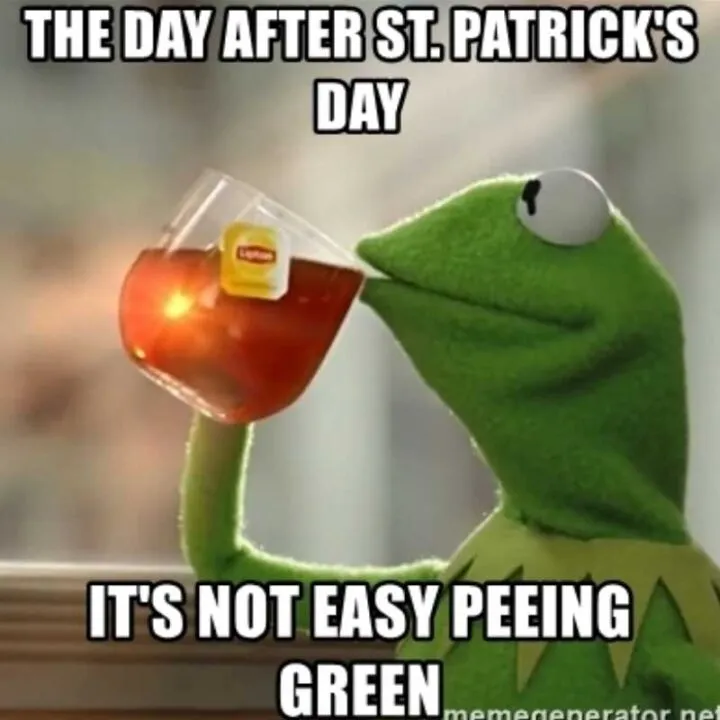  25 Funny St Patricks Day Memes
