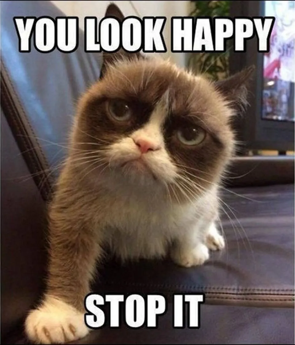 Grumpy Cat Meme - I Had Fun Once, It Was Awful