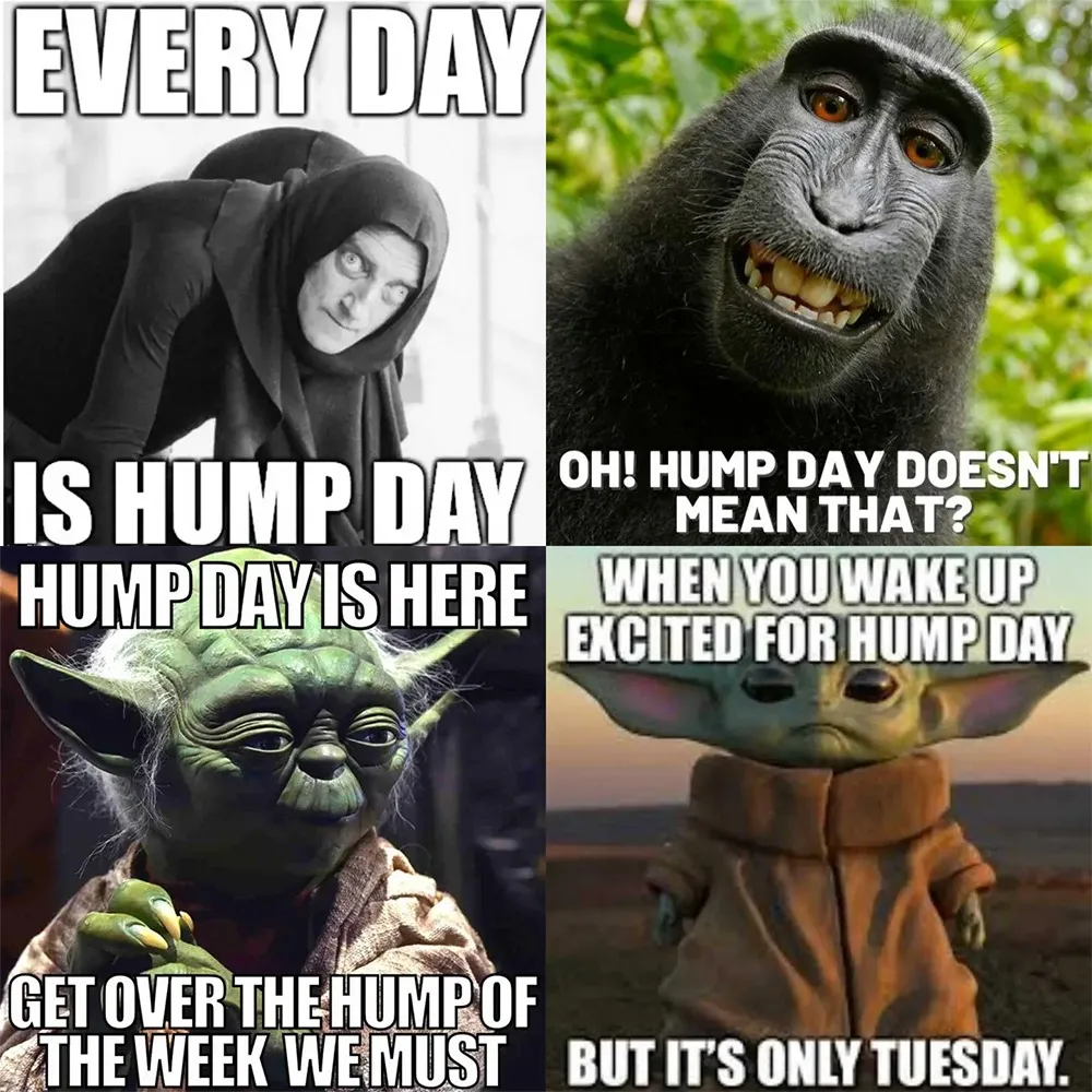 happy hump day funny meme 