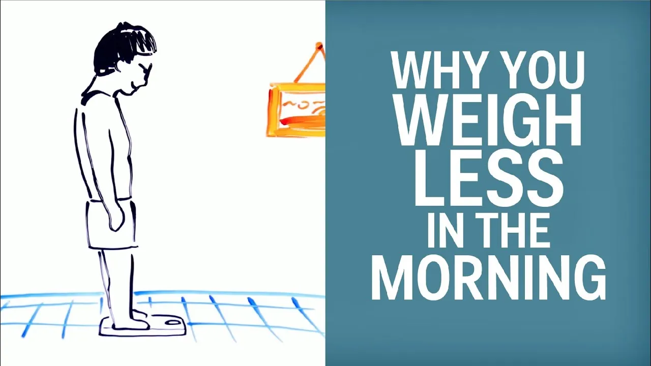 Why Do You Weigh Less In The Morning