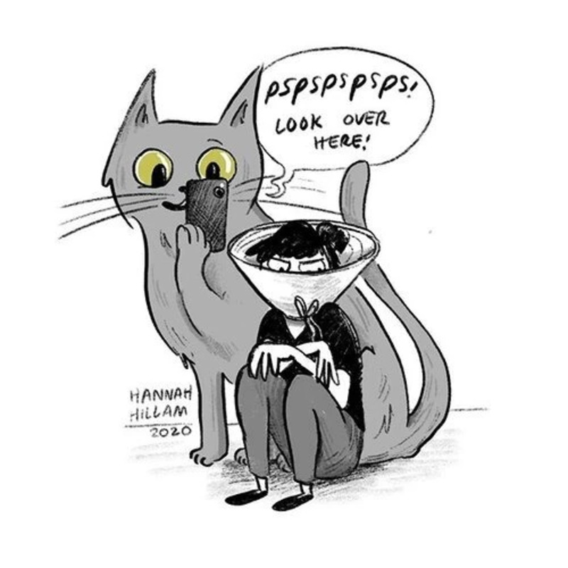 20 Hannah Hillam Comics Show What Happens When Cats And People Swap Places