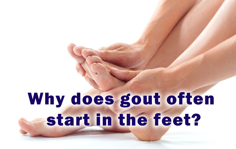 Why does gout often start in the feet?